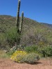 photo thumbnail #3