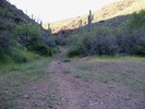 photo thumbnail #8
