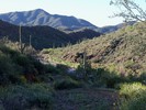 photo thumbnail #9