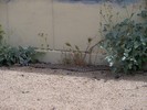 photo thumbnail #11