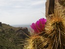photo thumbnail #10