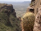 photo thumbnail #11