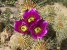 photo thumbnail #14