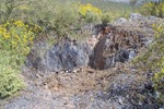 photo thumbnail #4