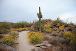 photo thumbnail #2