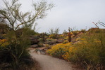photo thumbnail #4
