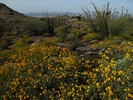 photo thumbnail #5
