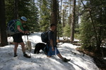 photo thumbnail #7