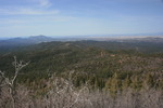 photo thumbnail #12