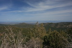 photo thumbnail #13