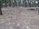 photo thumbnail #12