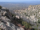 photo thumbnail #15
