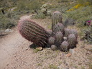 photo thumbnail #3