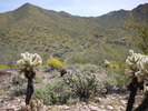 photo thumbnail #4