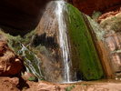 photo thumbnail #14