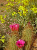 photo thumbnail #14