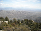 photo thumbnail #4