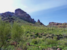 photo thumbnail #3