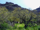 photo thumbnail #7