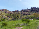 photo thumbnail #8
