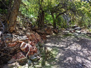 photo thumbnail #10