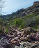 photo thumbnail #13