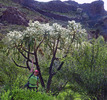 photo thumbnail #14