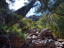 photo thumbnail #15