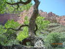 photo thumbnail #6