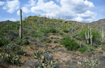 photo thumbnail #10