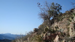 photo thumbnail #11