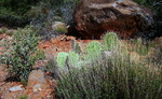 photo thumbnail #13
