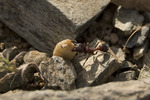 photo thumbnail #13