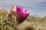photo thumbnail #15