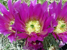 photo thumbnail #11