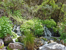 photo thumbnail #15