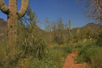 photo thumbnail #6