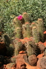 photo thumbnail #7