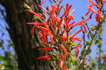 photo thumbnail #9