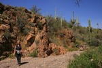photo thumbnail #10