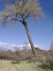 photo thumbnail #12