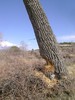 photo thumbnail #13
