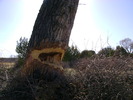 photo thumbnail #14