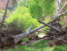photo thumbnail #6