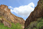 photo thumbnail #11