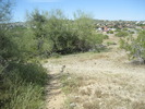 photo thumbnail #10