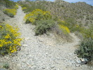 photo thumbnail #15