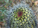 photo thumbnail #10
