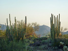 photo thumbnail #14