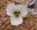photo thumbnail #15